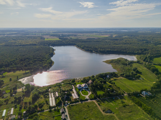 Działka Sprzedaż Binowo 11