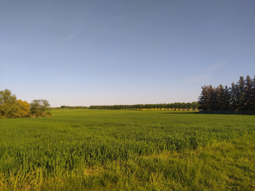 Działka Sprzedaż Wieńkowo