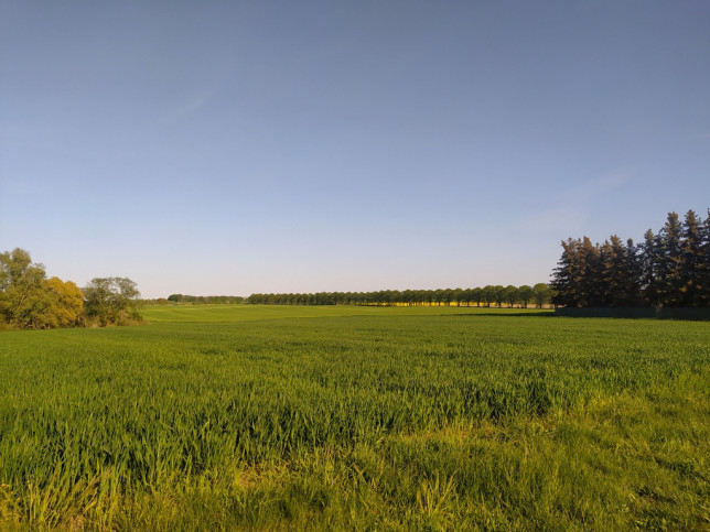 Działka Sprzedaż Wieńkowo 1