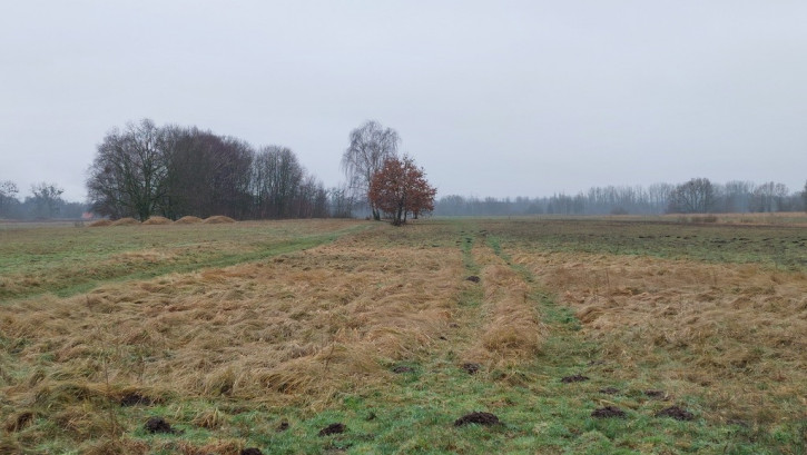 Działka Sprzedaż Wieńkowo 1