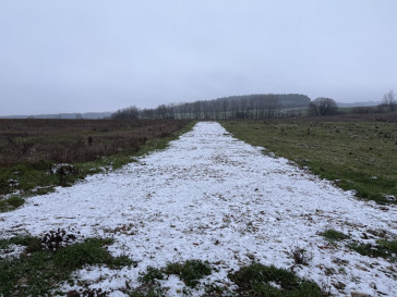 Działka Sprzedaż Stare Czarnowo