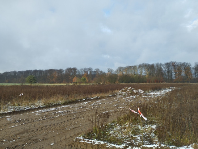 Działka Sprzedaż Dobropole Gryfińskie 1