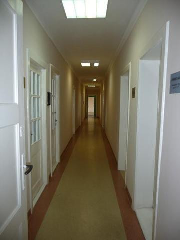 Lokal Wynajem  Centrum 8