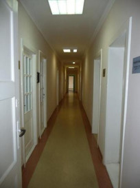 Lokal Wynajem  Centrum
