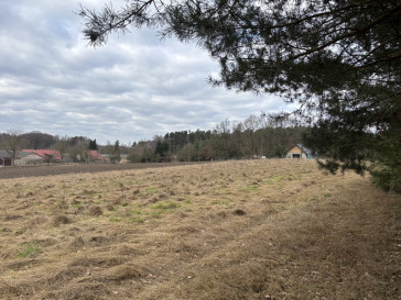 Działka Sprzedaż Kikorze