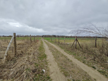 Działka Sprzedaż Wąwelnica