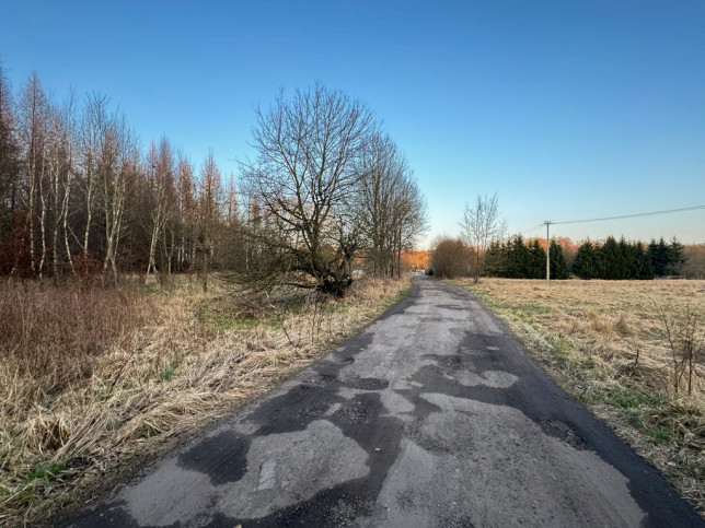 Działka Sprzedaż  Błotny Młyn 1
