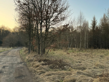 Działka Sprzedaż  Błotny Młyn