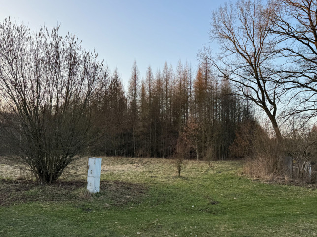 Działka Sprzedaż  Błotny Młyn 5