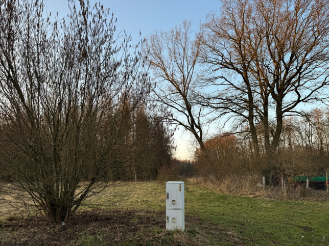 Działka Sprzedaż  Błotny Młyn 6