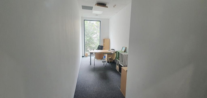 Lokal Wynajem  Centrum 12