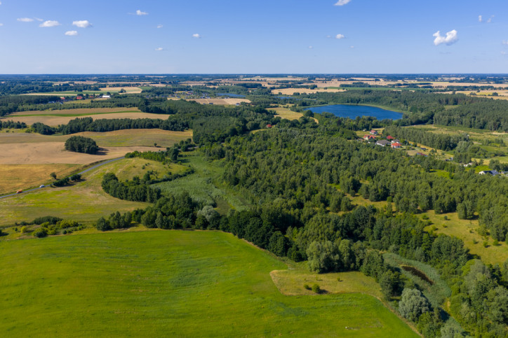 Działka Sprzedaż Grabowo 7