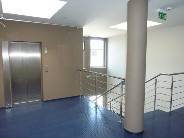 Lokal Wynajem  Centrum