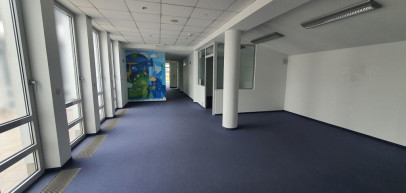 Lokal Wynajem  Centrum