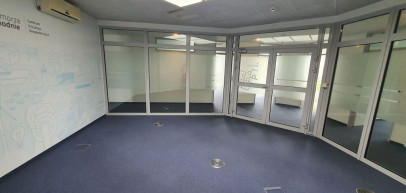 Lokal Wynajem  Centrum