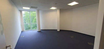 Lokal Wynajem  Centrum
