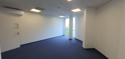 Lokal Wynajem  Centrum
