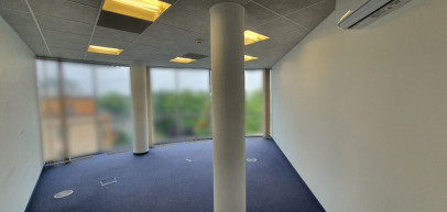 Lokal Wynajem  Centrum