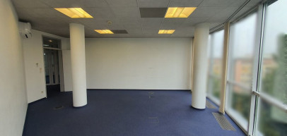Lokal Wynajem  Centrum