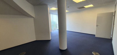 Lokal Wynajem  Centrum
