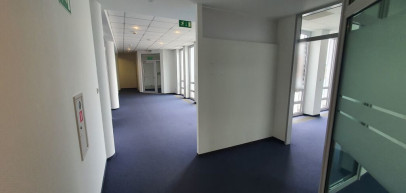 Lokal Wynajem  Centrum