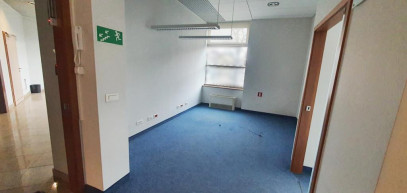 Lokal Wynajem  Śródmieście-Centrum