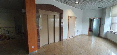 Lokal Wynajem  Śródmieście-Centrum