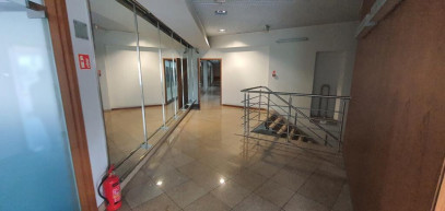 Lokal Wynajem  Śródmieście-Centrum