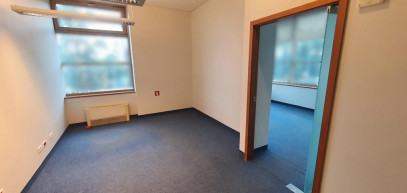 Lokal Wynajem  Śródmieście-Centrum