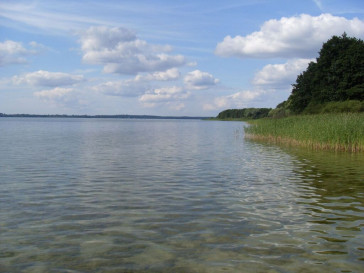 Działka Sprzedaż Mielno