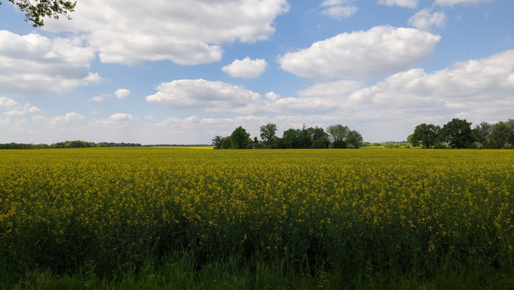 Działka Sprzedaż Mielno 2