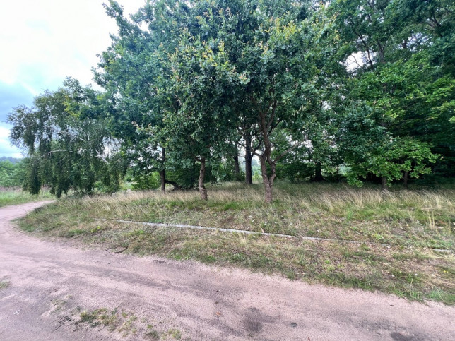 Działka Sprzedaż Storkowo 3