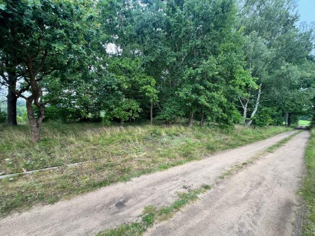 Działka Sprzedaż Storkowo 4