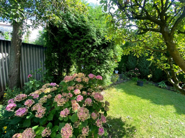 Mieszkanie Sprzedaż  Żelechowa Róży Polnej 14