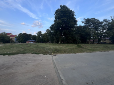 Działka Sprzedaż Moryń