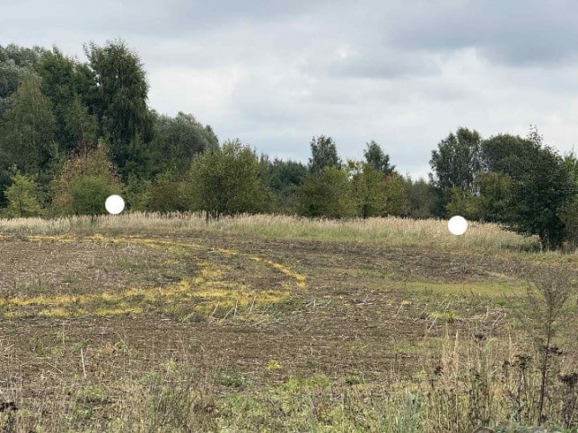 Działka Sprzedaż Stara Dąbrowa 3