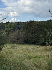 Działka Sprzedaż  Pilchowo