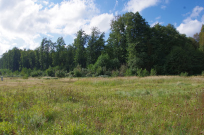 Działka Sprzedaż Jatki