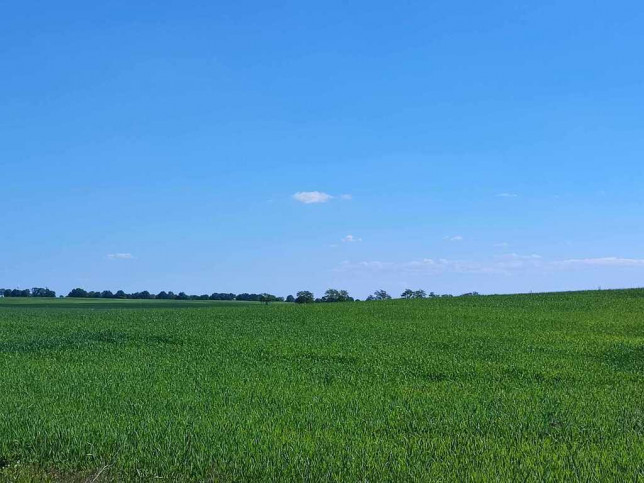 Działka Sprzedaż Grabowo 9