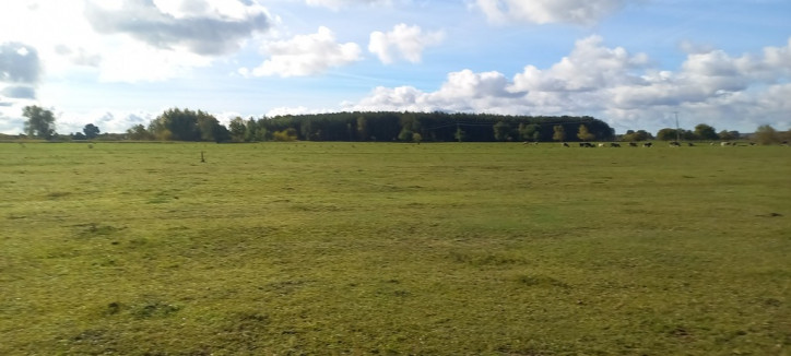 Działka Sprzedaż Borzysławiec 1