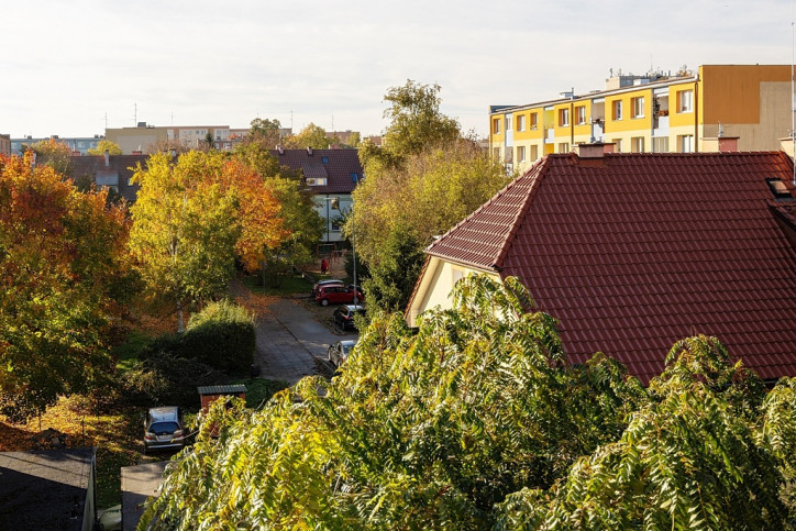 Mieszkanie Sprzedaż  Świerczewo 11