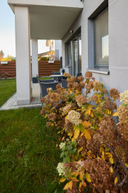 Mieszkanie Sprzedaż  Osów Gwiazdy Polarnej