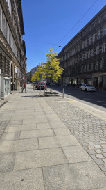Mieszkanie Sprzedaż  Centrum Aleja Piastów