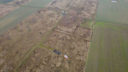 Działka Sprzedaż Wąwelnica
