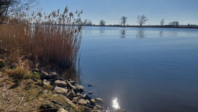 Dom Sprzedaż Widuchowa