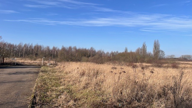 Działka Sprzedaż Mierzyn 5