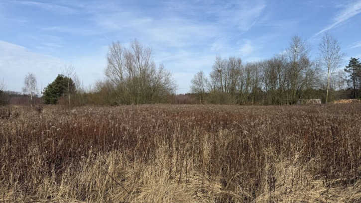 Działka Sprzedaż Żółwia Błoć 4