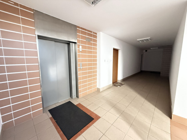 Mieszkanie Wynajem  Śródmieście-Centrum Plac Stefana Batorego 19