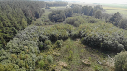Działka Sprzedaż Rów