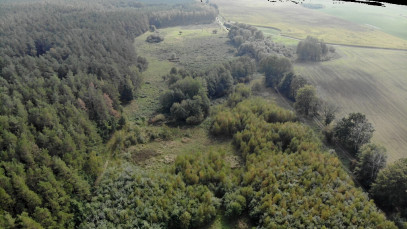 Działka Sprzedaż Rów